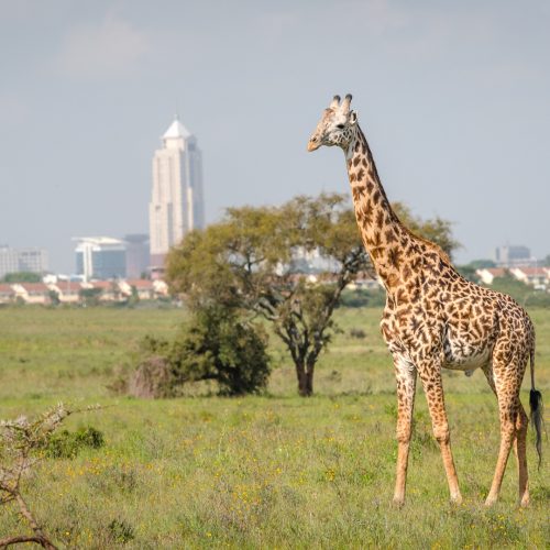 Diseño sin título-12