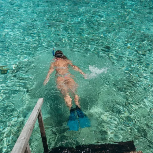 snorkel